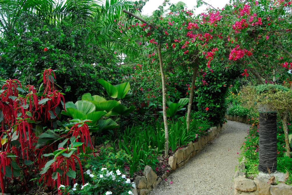 Hosteria Mandala Puerto Lopez Ngoại thất bức ảnh