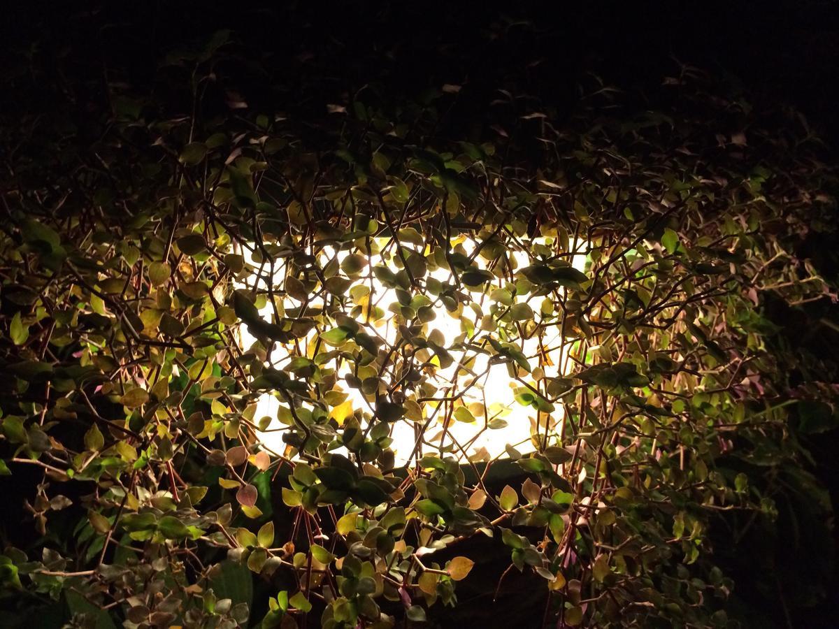Hosteria Mandala Puerto Lopez Ngoại thất bức ảnh